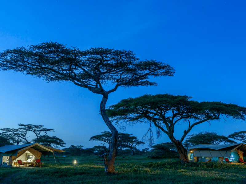 Ndutu Wilderness Camp