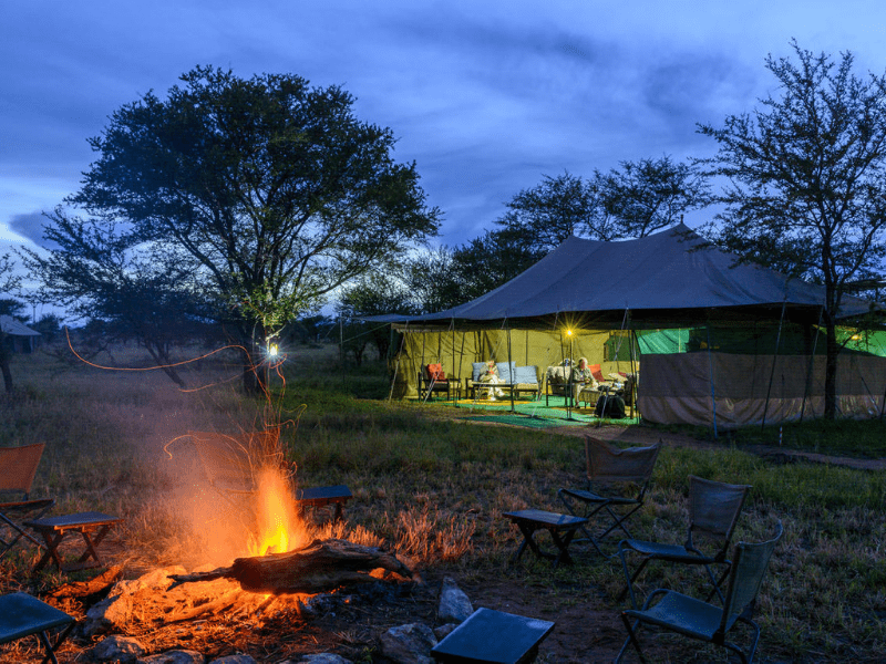 Serengeti Wilderness Camp - Our Camps - Wild frontiers