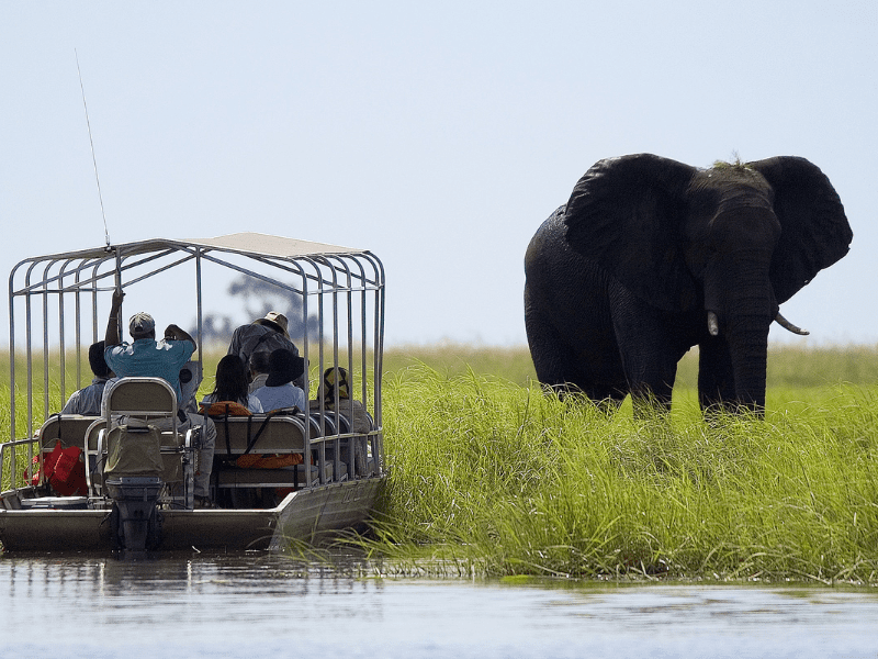 Okavango Elephant - Sunway Safaris - Botswana