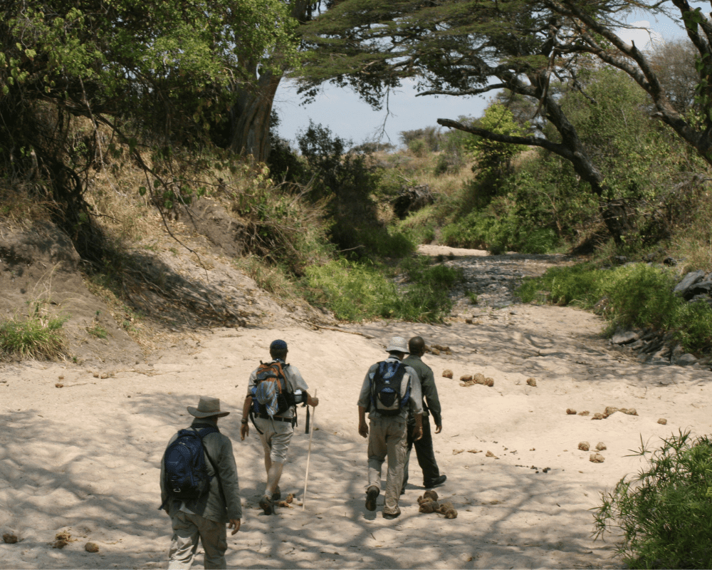 Walking Safari Tanzania