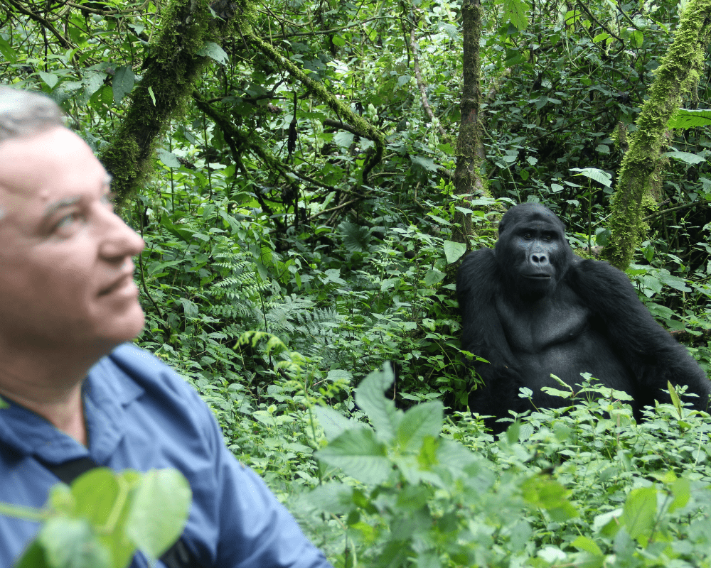 uganda_wildlife_gorillas_bwindi_15