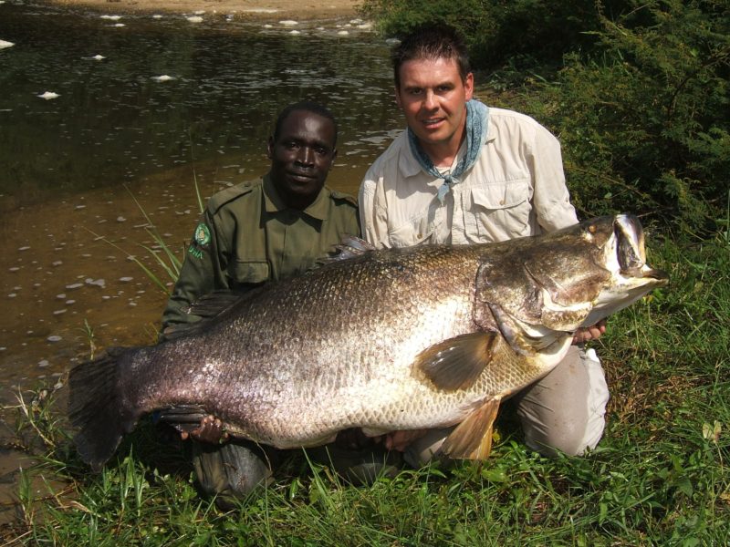Nile Perch - East and Central Africa