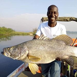 Echilus Baijuka - Wild Frontiers - Uganda